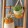 Modern Hanging Basket